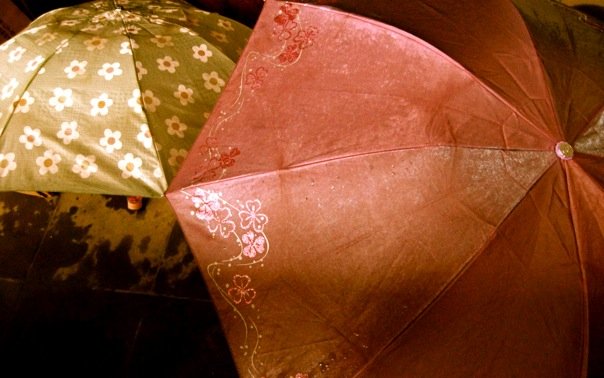 Brolly1