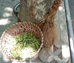 broomnbean