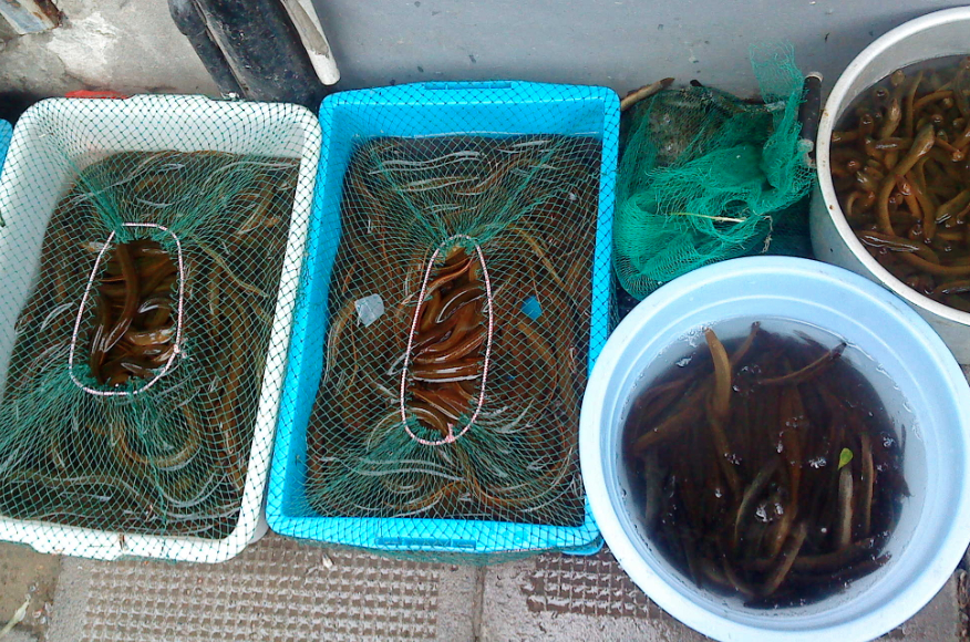 fishmonger2