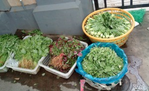 greengrocer2