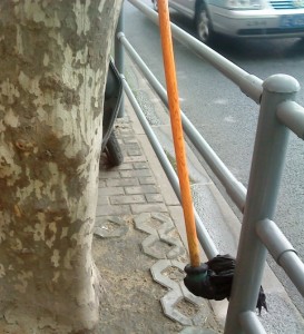 mop just chillin
