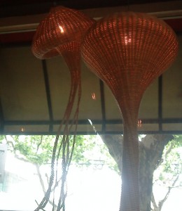 squidlights