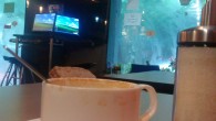 Boxha Cafe in the rain In the interest of creating mental escape routes for the rainy season, I’m starting a new category exclusively for cafes in Shanghai to duck into out of the rain. Since...