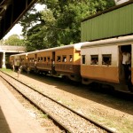 IMG_2970 IMG_2970