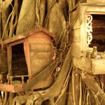 IMG_8939 IMG_8939