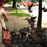 IMG_8958 IMG_8958