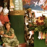 IMG_9006 IMG_9006