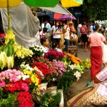 IMG_9044 IMG_9044