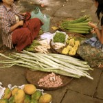 IMG_9059 IMG_9059