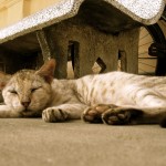 IMG_9094 IMG_9094