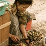 IMG_9918 IMG_9918