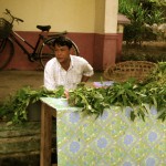 IMG_9960 IMG_9960