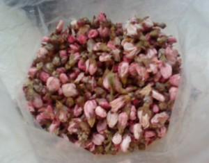 peach blossom