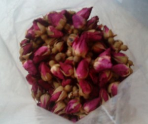 rose