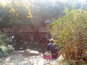 fish feeder