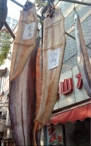 fish2