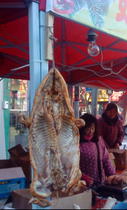 flayed pig 2