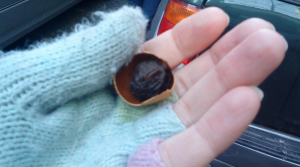 nuts