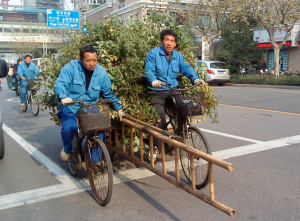 treebike