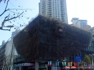tulle wall
