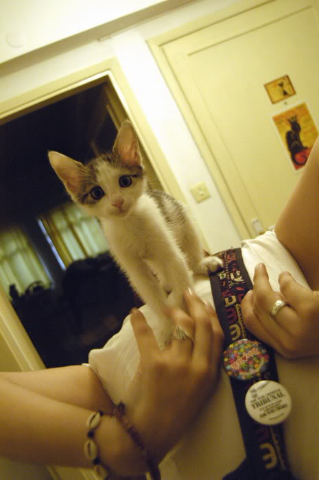 curious_sweety
