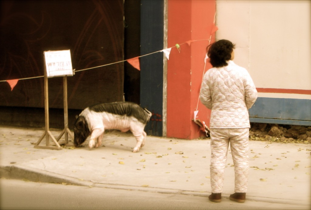 naked lunch