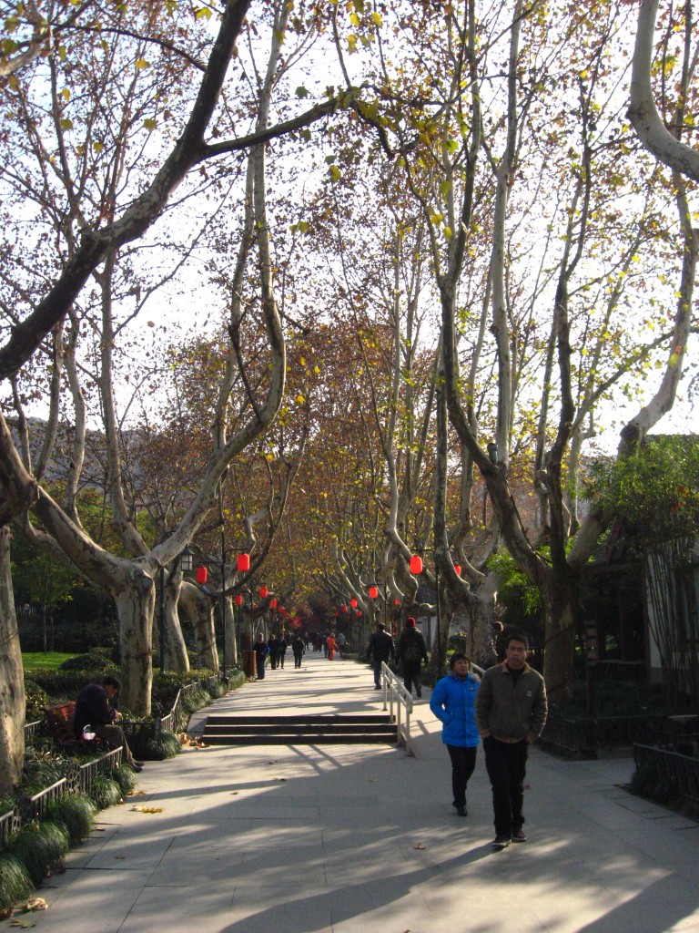 the park near hotel