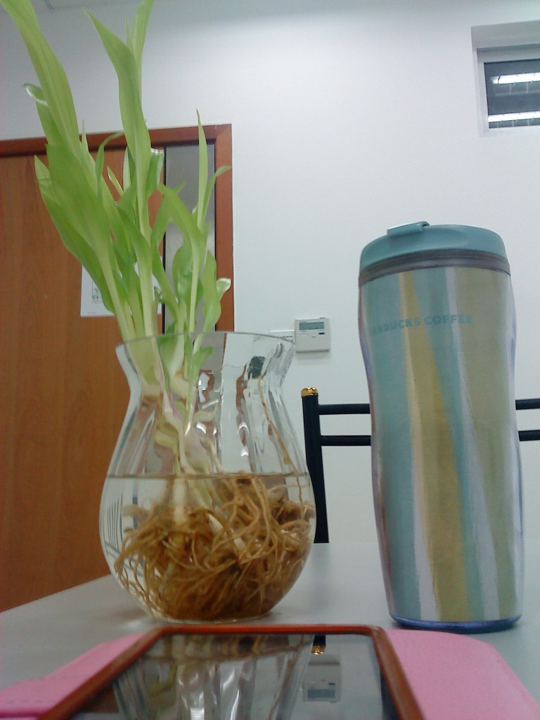exam room