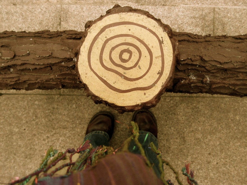 count the rings