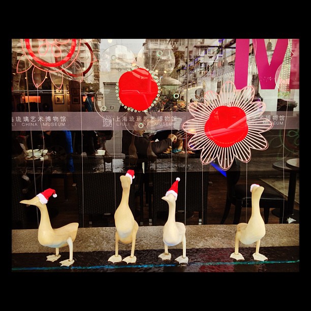 ducks