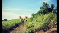 Radio Silence: How to Write Publicly When All of Your Journeys are Private I’m a surprisingly private person. I’ve only started realizing that recently. This may come as news to you, given that I’m blurting this out in a decidedly public medium and...