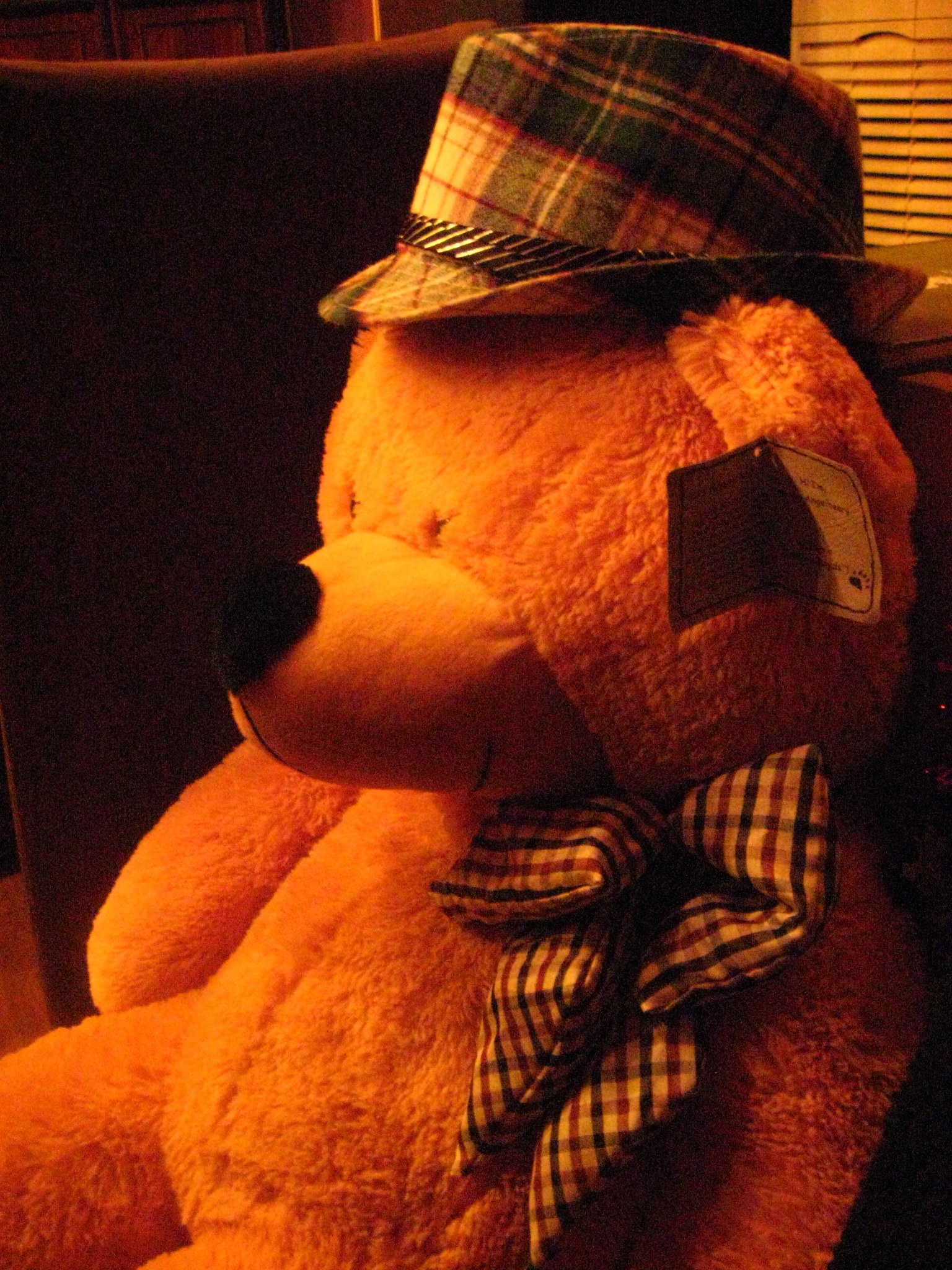 Ain’t I a Bear? Gerald the Bear Tackles Authenticity and Place