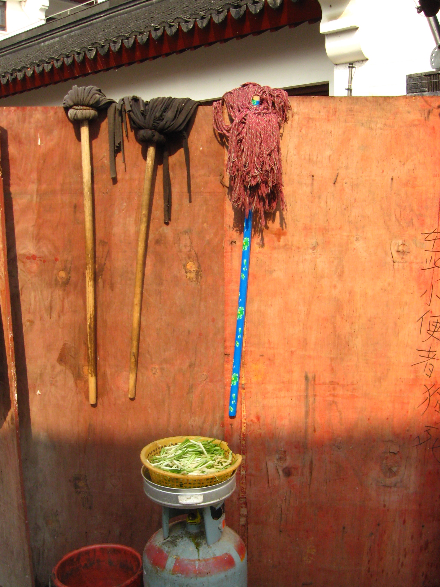 Meat and Mops- My Parents’ Journey to Qibao