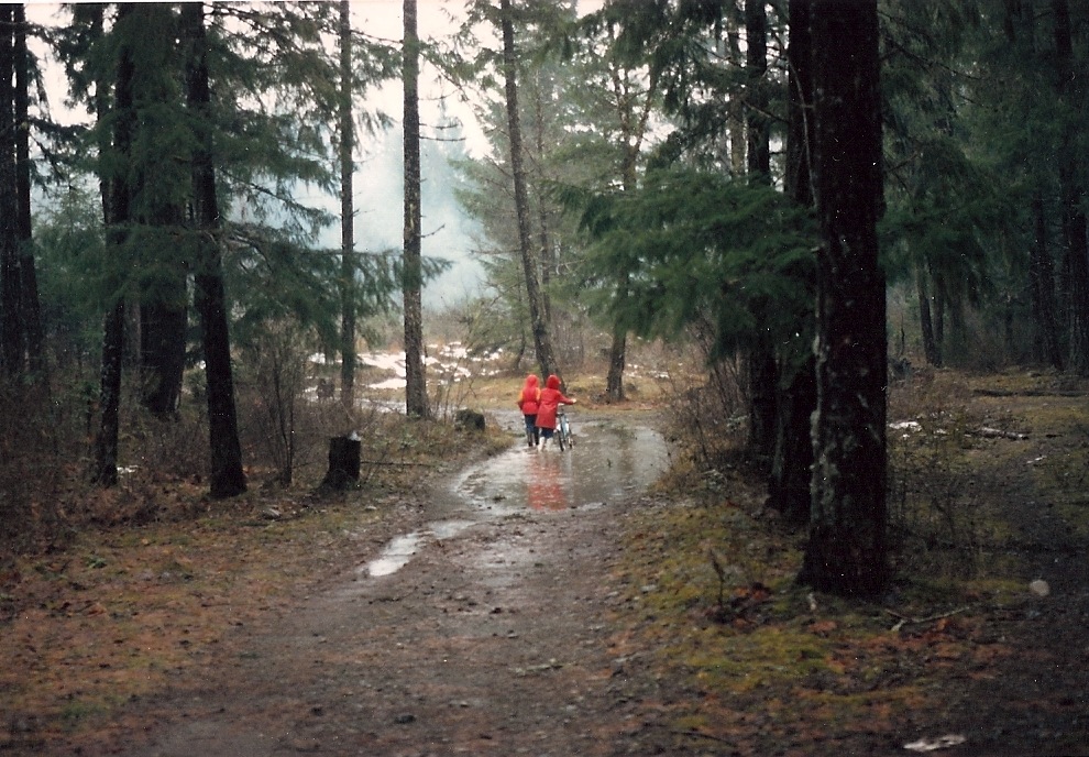 9 Notes on Re-Entering Canada After Quite a Long Time Away