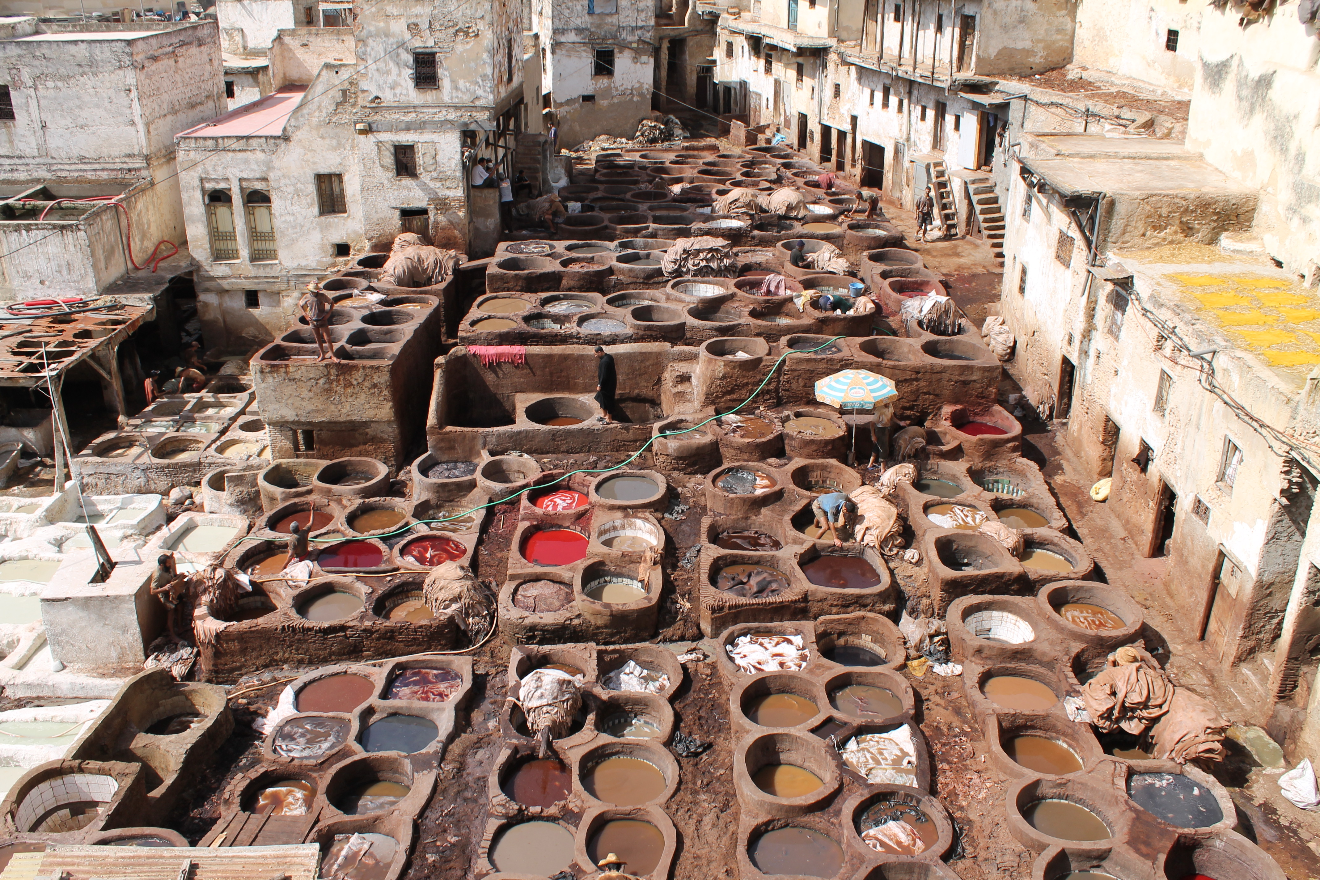 Making You Jealous in Fes, Morocco