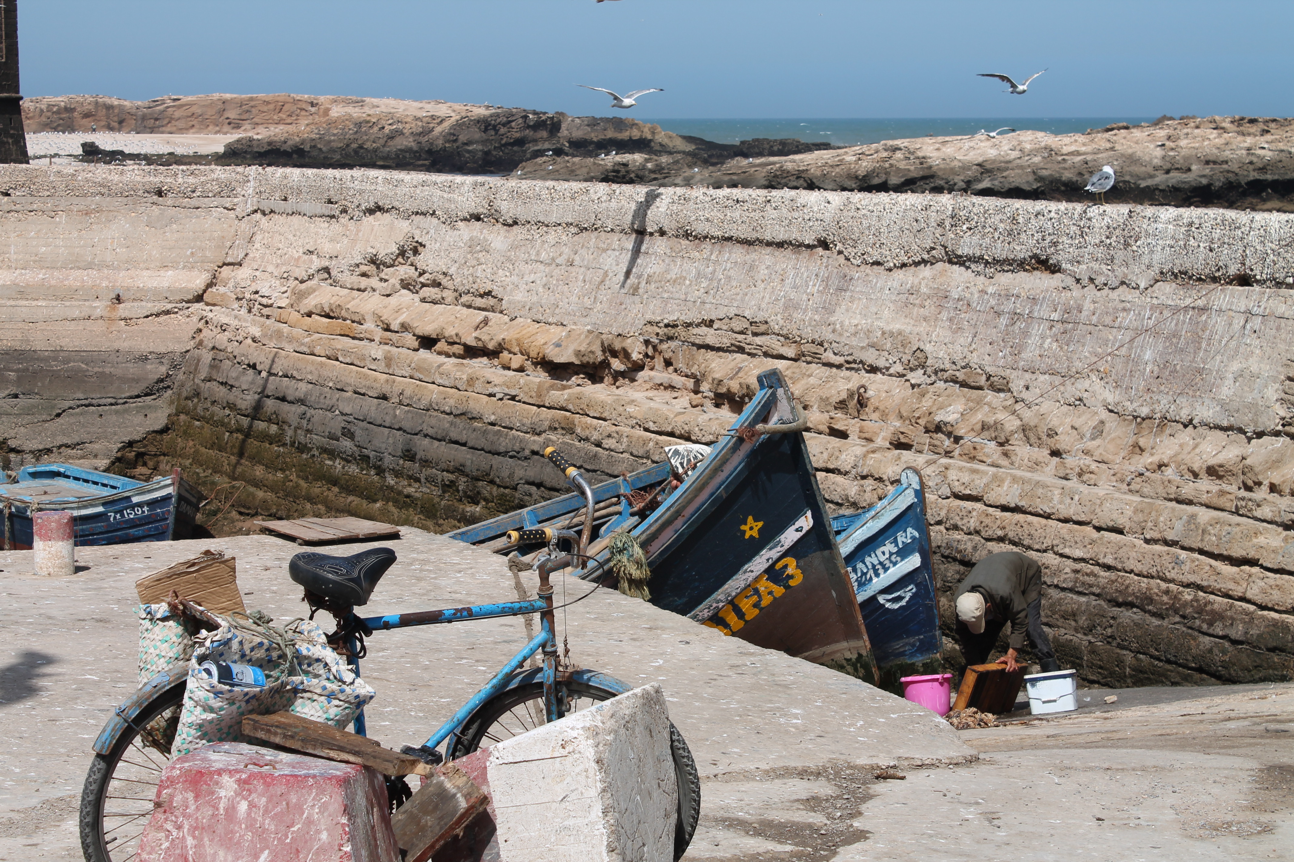 Making You Jealous in Essaouira, Morocco